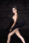 articles5_black_swan_06.jpg