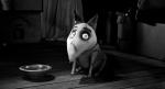 articles7_frankenweenie.jpg