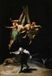 articles8_francisco_de_goya-witches_in_the_air.jpg